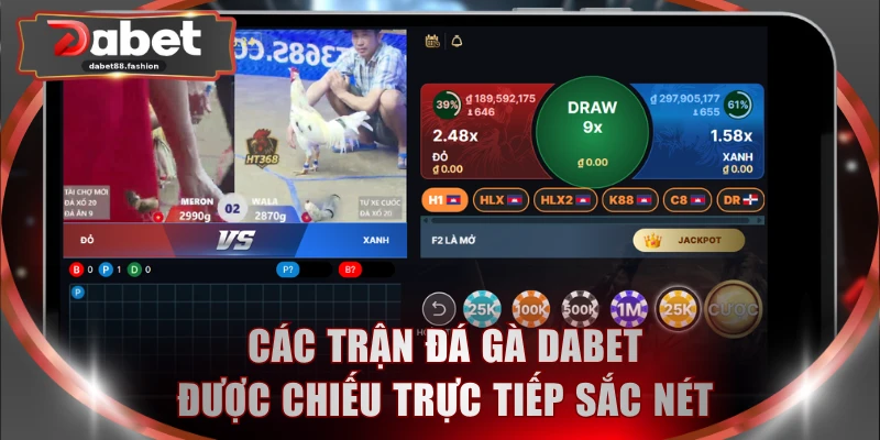 Các trận đá gà DABET được chiếu trực tiếp sắc nét