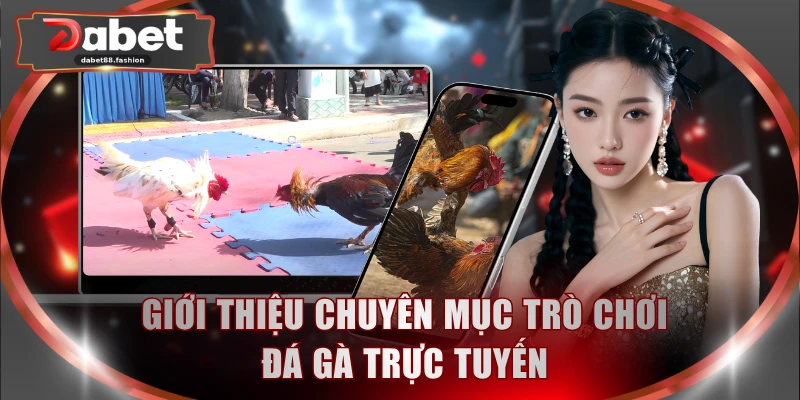 Giới thiệu chuyên mục trò chơi đá gà trực tuyến