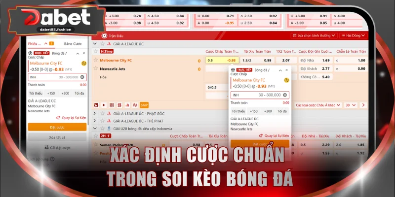 Xác định các loại cược chuẩn trong soi kèo bóng đá